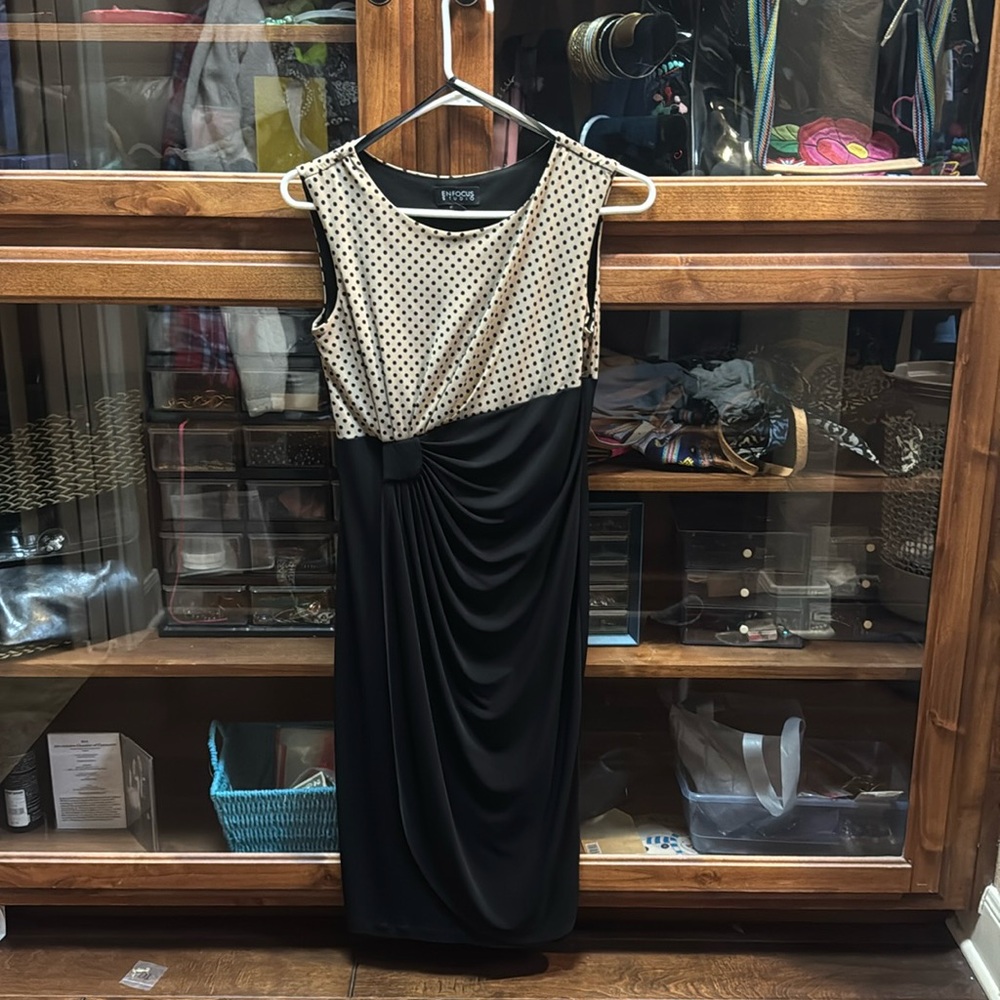 ENFOCUS studio dress size 4